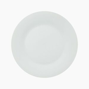 Dinner Plate (Case 12)