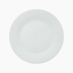 Dinner Plate (Case 12)